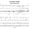 Graap, Lothar: O Traurigkeit, o Herzeleid für Orgel – Bild 2