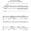 Laux, Torsten: Andante und Allegro »Freude schöner Götterfunken« über das Thema aus dem Schlusschor der 9. Symphonie op. 125 von Ludwig van BEETHOVEN für Orgel – Bild 2