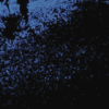 CD: Unterm Sternenlicht, Werke von Younghi Pagh-Paan und Isang Yun