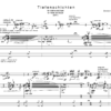 Susteck, Dominik: "Tiefenschichten" für Violine und Orgel (2011) – Bild 2
