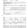 Ulrich Schultheiss: "Les Métropolitains" für symphonisches Blasorchester und Percussion (2006) – Bild 4