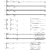Ulrich Schultheiss: "POÈME" für Streicher (1994) – Bild 3