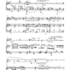Ulrich Schultheiss: "LIEDER OHNE WORTE" nach den Klavierliedern mit Texten von Hermann Hesse für Violine und Klavier (1982/1993) – Bild 3